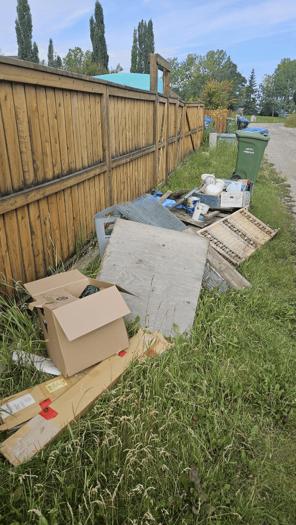 Alley & Fence Line Cleanup