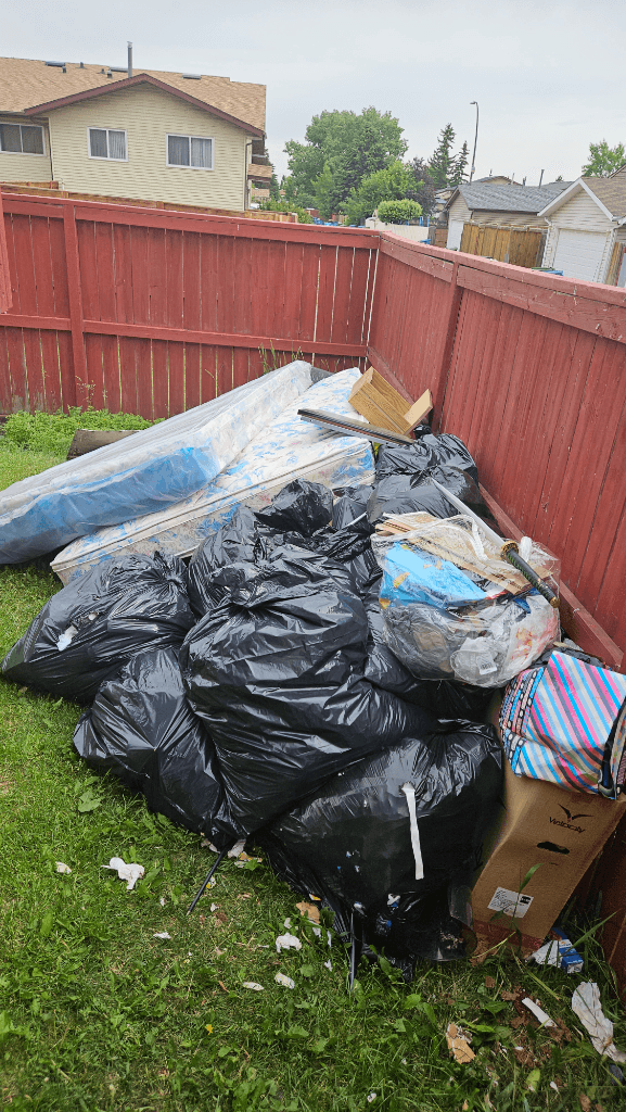 Backyard Junk Removal